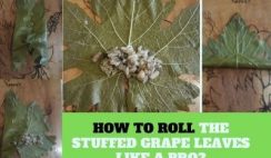 Stuffed Grape Leaves With Olive Oil Recipe: A Timesless Taste