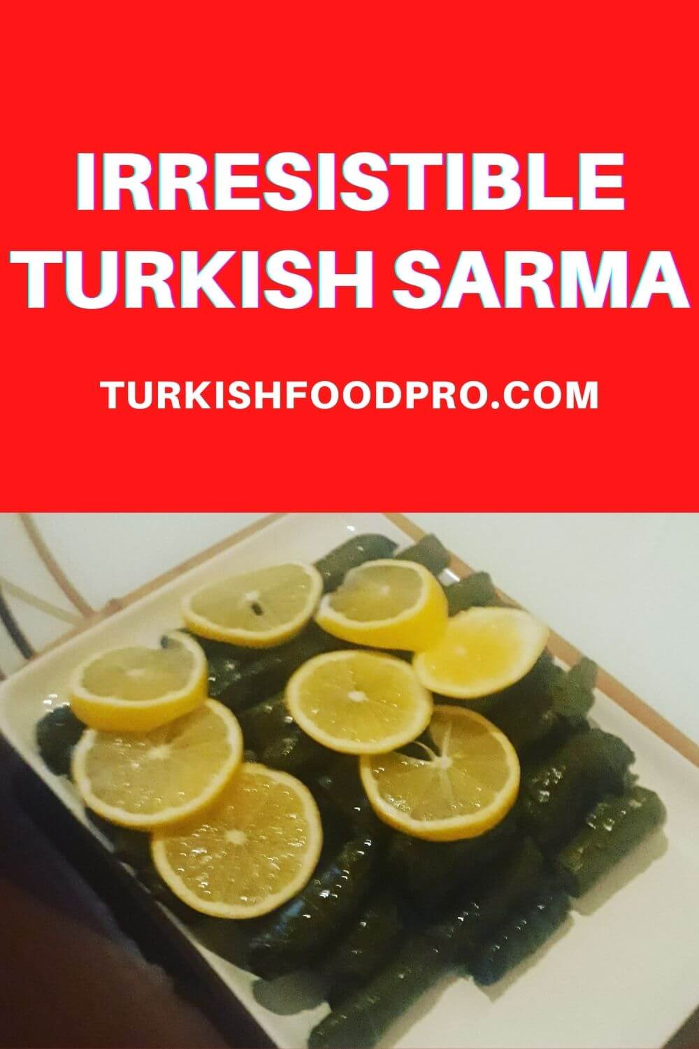 Stuffed Grape Leaves With Olive Oil Recipe A Timesless Taste